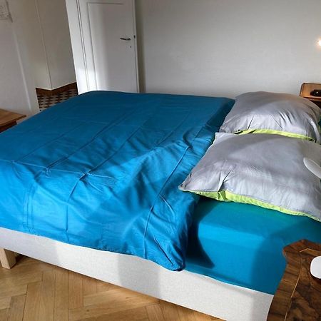 Joli 2 Pieces Dernier Etage, Lausanne Centre Εξωτερικό φωτογραφία