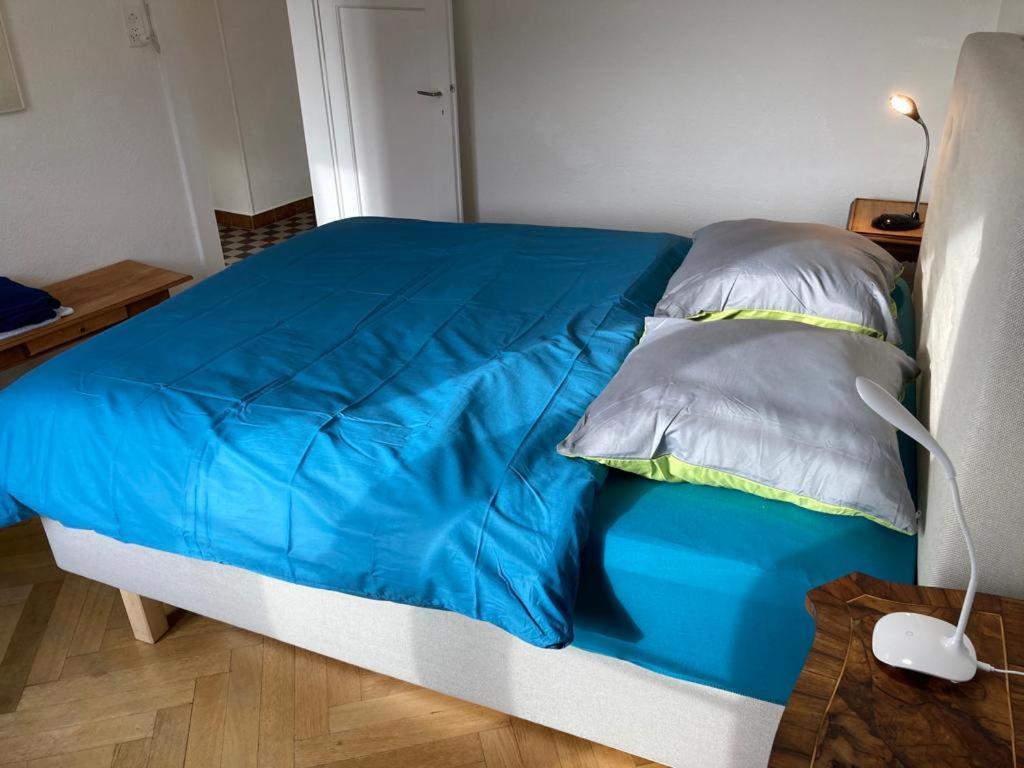 Joli 2 Pieces Dernier Etage, Lausanne Centre Εξωτερικό φωτογραφία