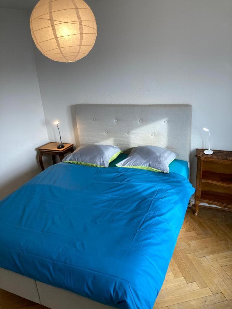 Joli 2 Pieces Dernier Etage, Lausanne Centre Εξωτερικό φωτογραφία