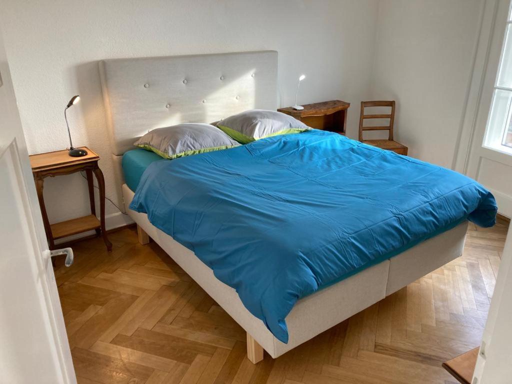 Joli 2 Pieces Dernier Etage, Lausanne Centre Εξωτερικό φωτογραφία