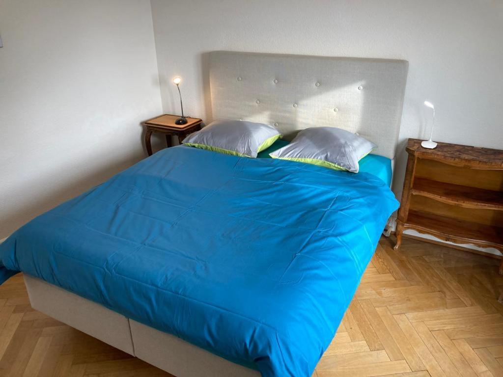 Joli 2 Pieces Dernier Etage, Lausanne Centre Εξωτερικό φωτογραφία
